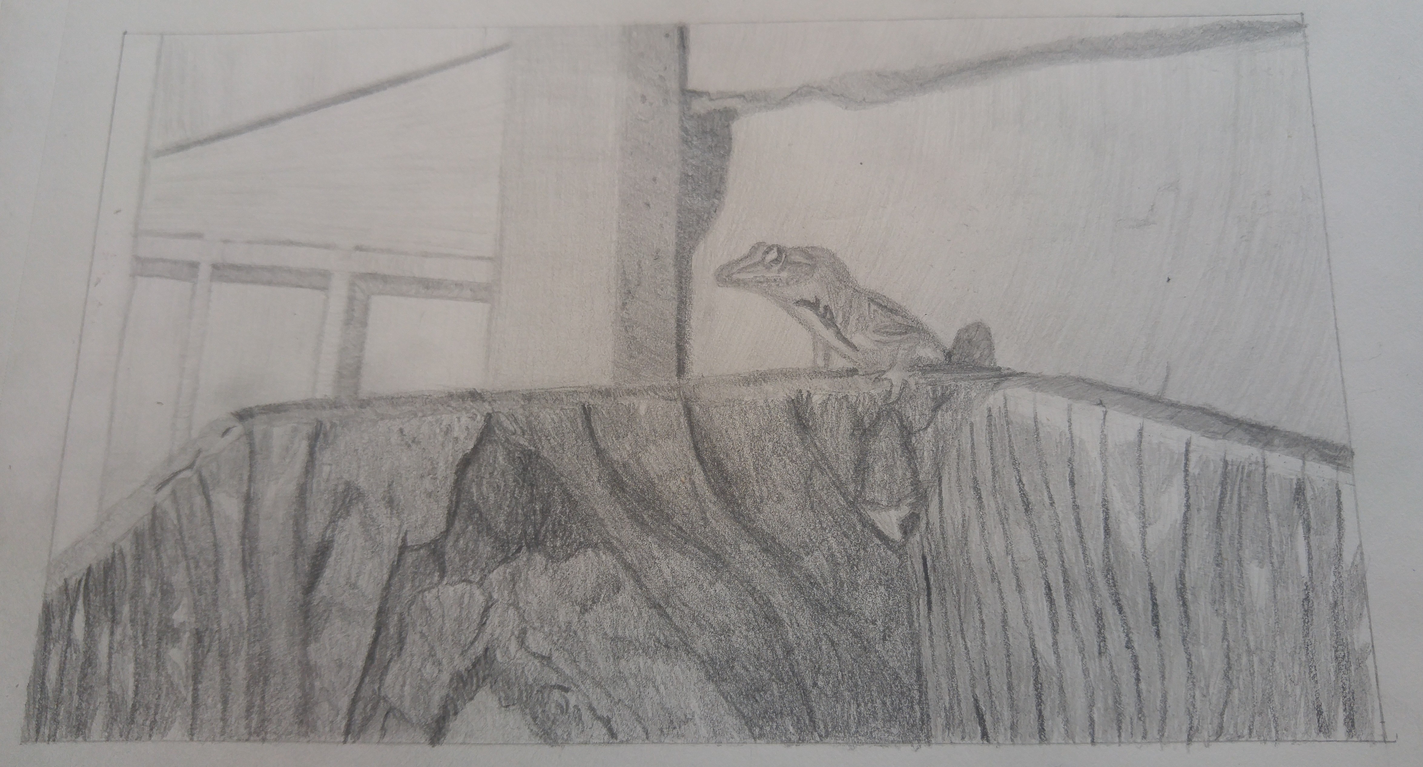 Pencil drawing of anole lizard perched on wooden gate